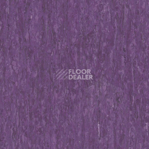 Линолеум Tarkett iq Optima LILCA 0256 фото 1 | FLOORDEALER